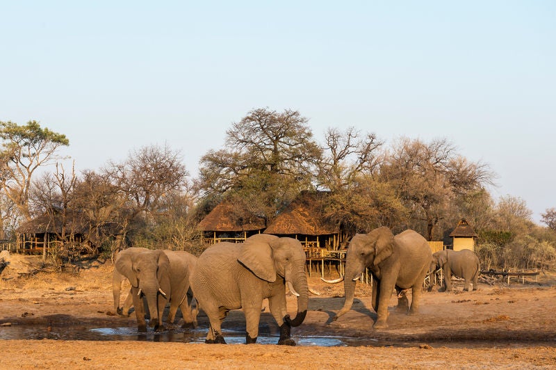 Elevated safari lodge with wooden deck overlooking African savanna, featuring plush outdoor seating and canvas tent accommodations