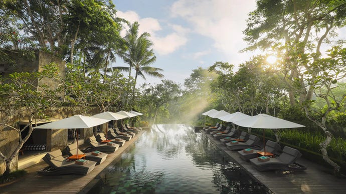 Infinity Forest Pool
