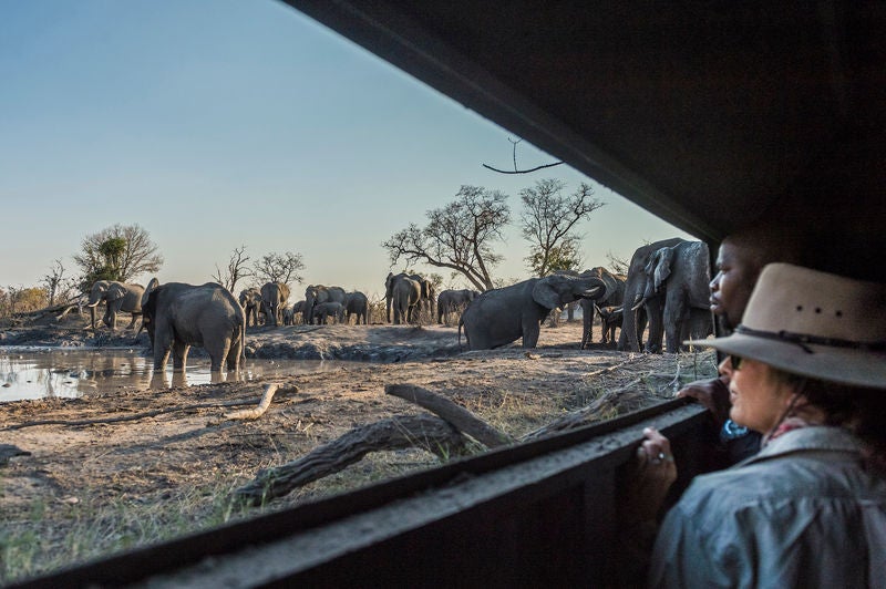 Elevated safari lodge with private deck overlooking African grasslands, featuring plush outdoor seating and panoramic savanna views