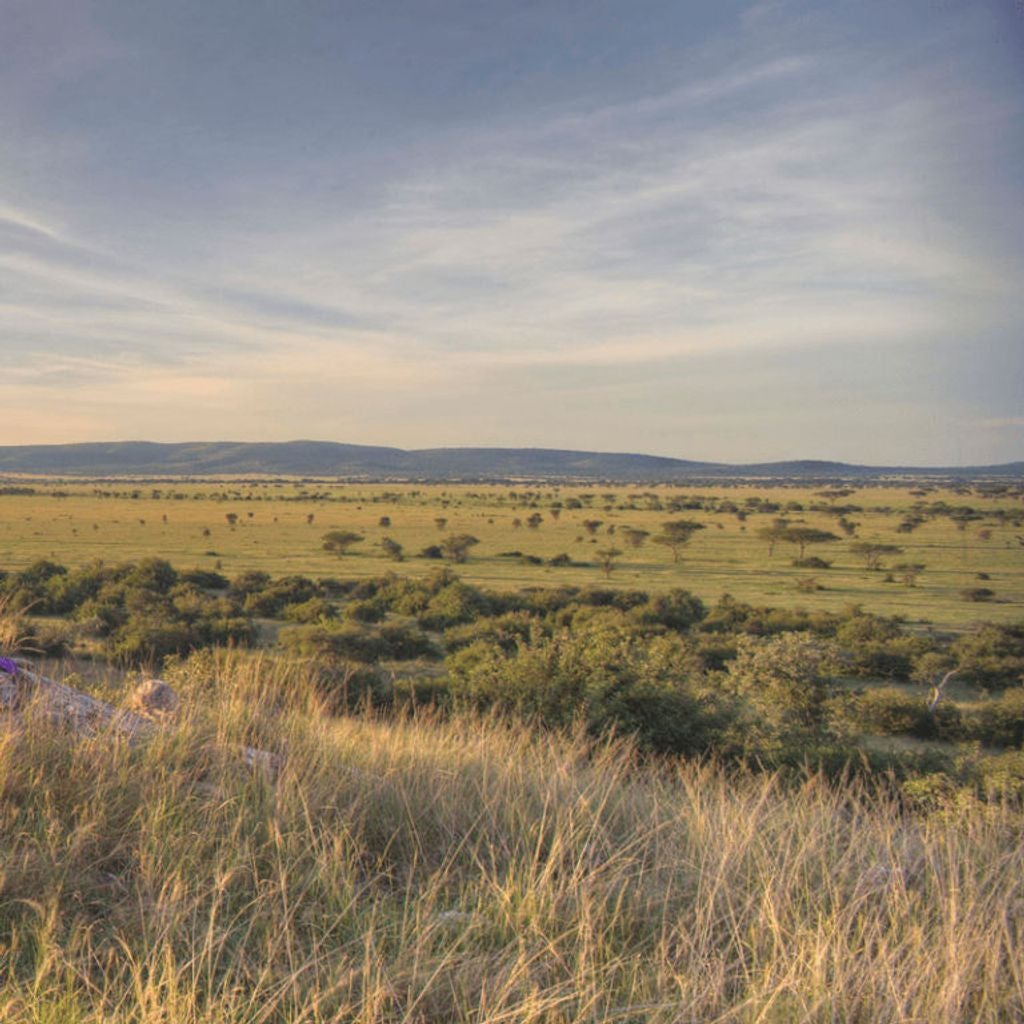 Luxurious safari lodge overlooking the Serengeti, featuring thatched pavilions, private infinity pool and natural wood accents