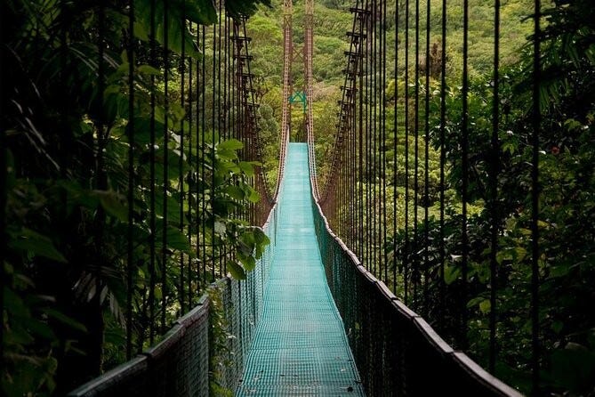 Mystic Hanging Bridges
