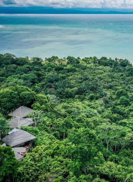 Luxurious treehouse-style bungalow with thatched roof perched on rainforest hillside, overlooking lush Costa Rican jungle canopy at sunset