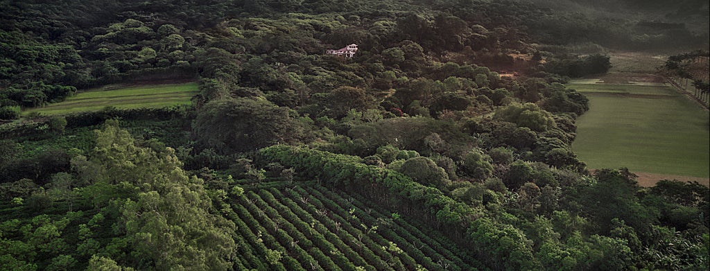 Luxurious white stucco boutique inn nestled in Costa Rican coffee plantation with lush tropical gardens and mountain views