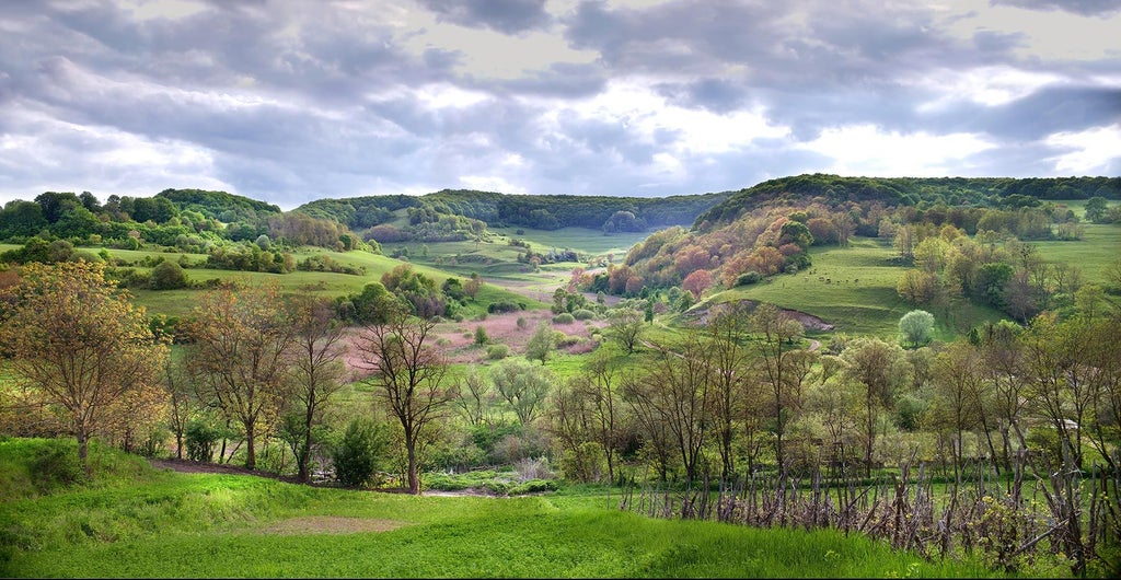 Luxurious restored manor house nestled in Transylvanian hills, featuring elegant stone architecture, manicured gardens, and timeless countryside charm.