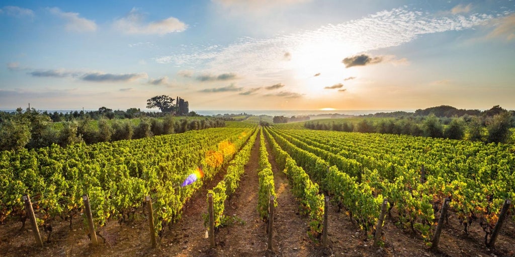 Elegant wine glasses amid golden vineyards of Nemea, sun-drenched Greek landscape with rolling hills and rustic winery backdrop