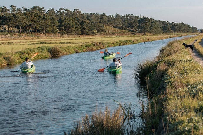 Paddle through the rice fields