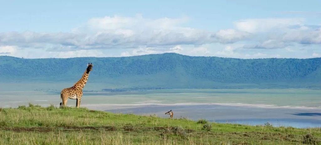 Luxury safari camp tent overlooking Ngorongoro Crater at sunset, featuring canvas walls, wooden deck and panoramic mountain views