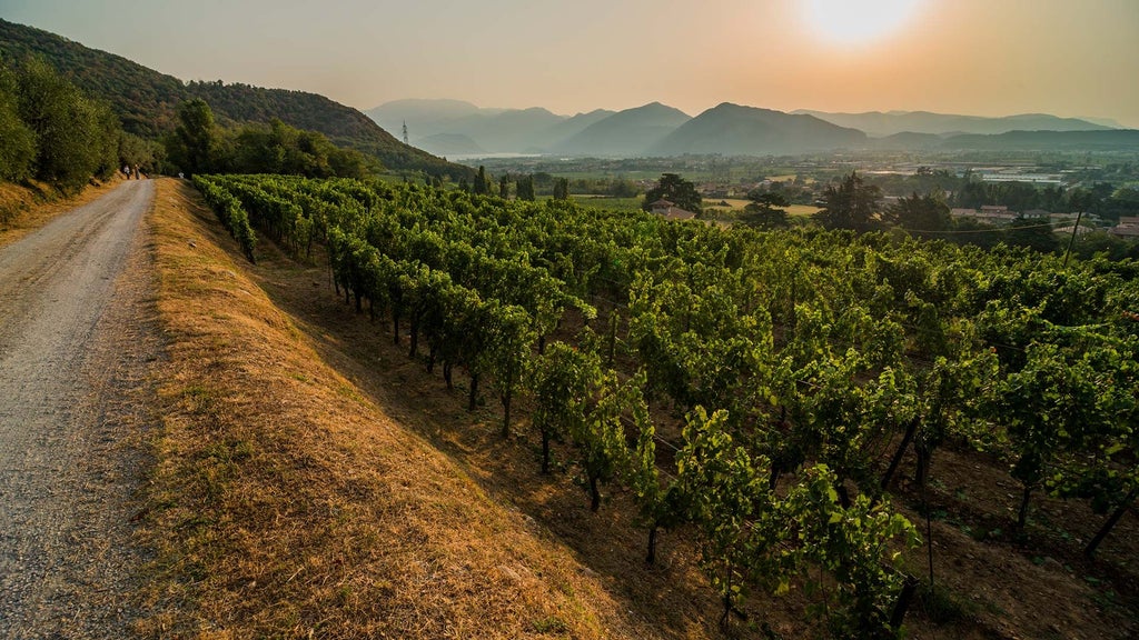 Luxurious Italian countryside resort nestled among rolling vineyards, with elegant stone architecture and panoramic views of Lombardy landscape