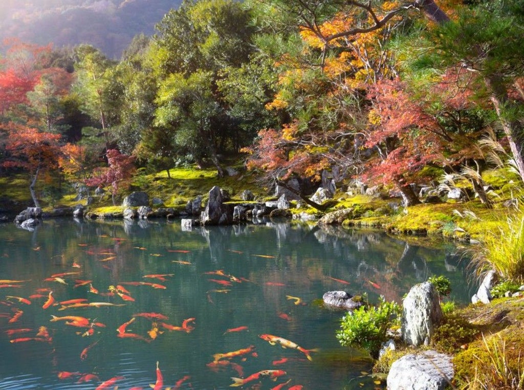 Elegant tourists exploring Kyoto's golden Kinkaku-ji temple, serene zen gardens, and traditional tea houses during a luxurious full-day cultural immersion tour