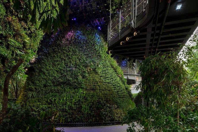 Singapore’s rainforest exhibit feels a world away from the desert of Dubai