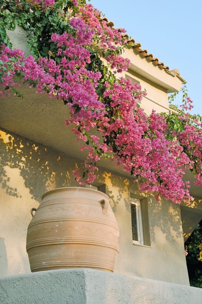 Luxurious white villa with blue-domed roof overlooking azure Aegean Sea, surrounded by sun-drenched terraces and vibrant bougainvillea in scenic Greek island landscape