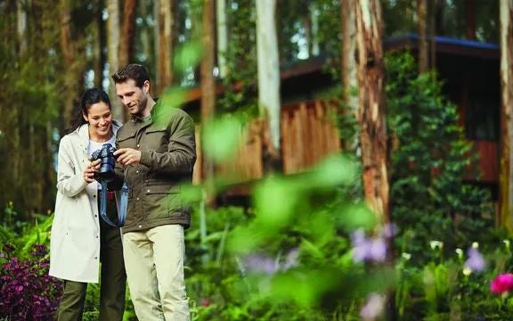 Luxurious wooden treehouse suite nestled in lush Rwandan rainforest, featuring panoramic floor-to-ceiling windows and elegant modern African design