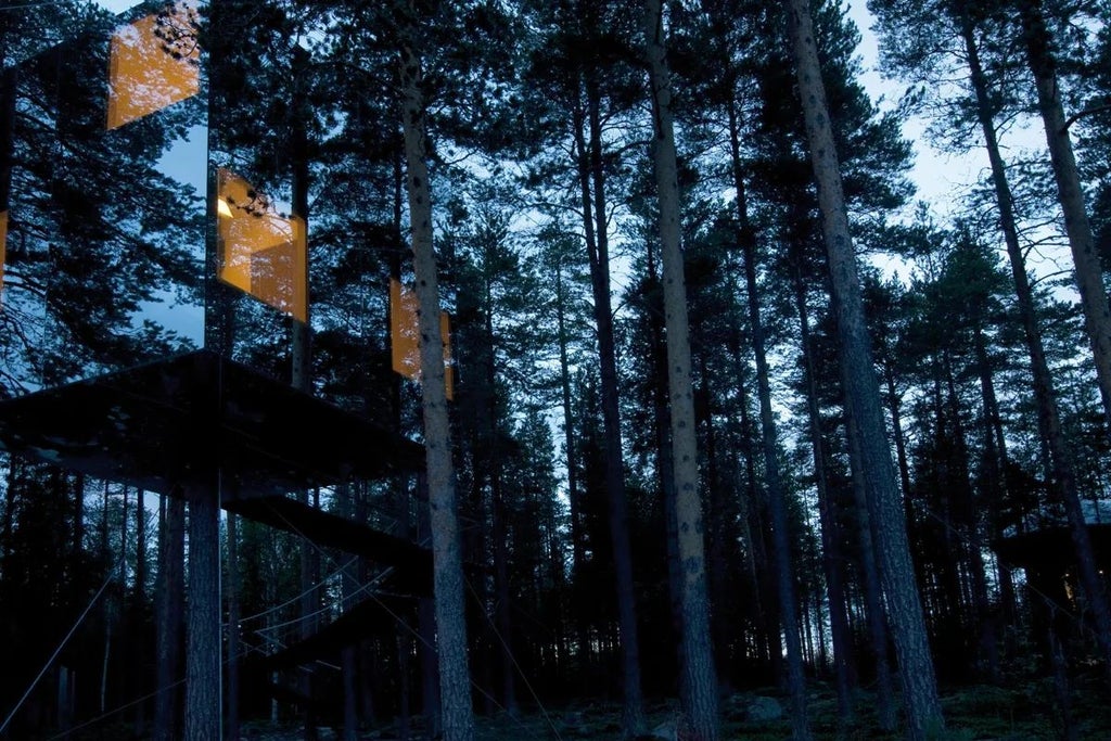 Suspended mirrored cube nestled in pine forest, reflecting surrounding trees, creating seamless camouflage against minimalist Scandinavian landscape at luxury treetop accommodation