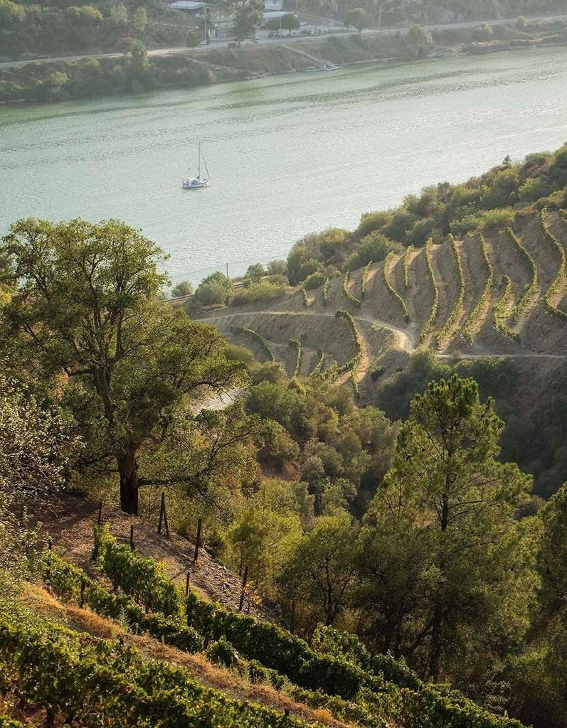 Luxury boutique hotel nestled in Portuguese vineyards, with beige stone buildings, terracotta roofs, and panoramic Douro Valley views