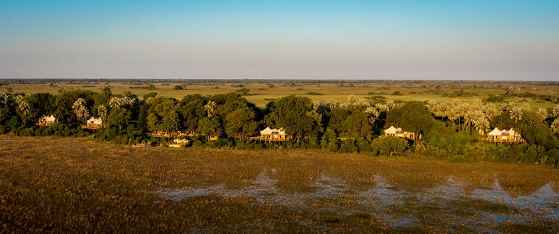 Elevated safari lodge with thatched-roof suites on wooden platforms overlooking flooded Okavango Delta grasslands at sunset