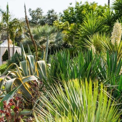 Elegant Sicilian villa with stone walls, lush gardens, and Mediterranean charm, showcasing a luxurious outdoor terrace with vintage furnishings and vibrant flora