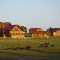 Rustic lodge interior with wooden beams, plush king bed, large panoramic windows overlooking scenic mountain landscape at Scenic Ranch in western United States