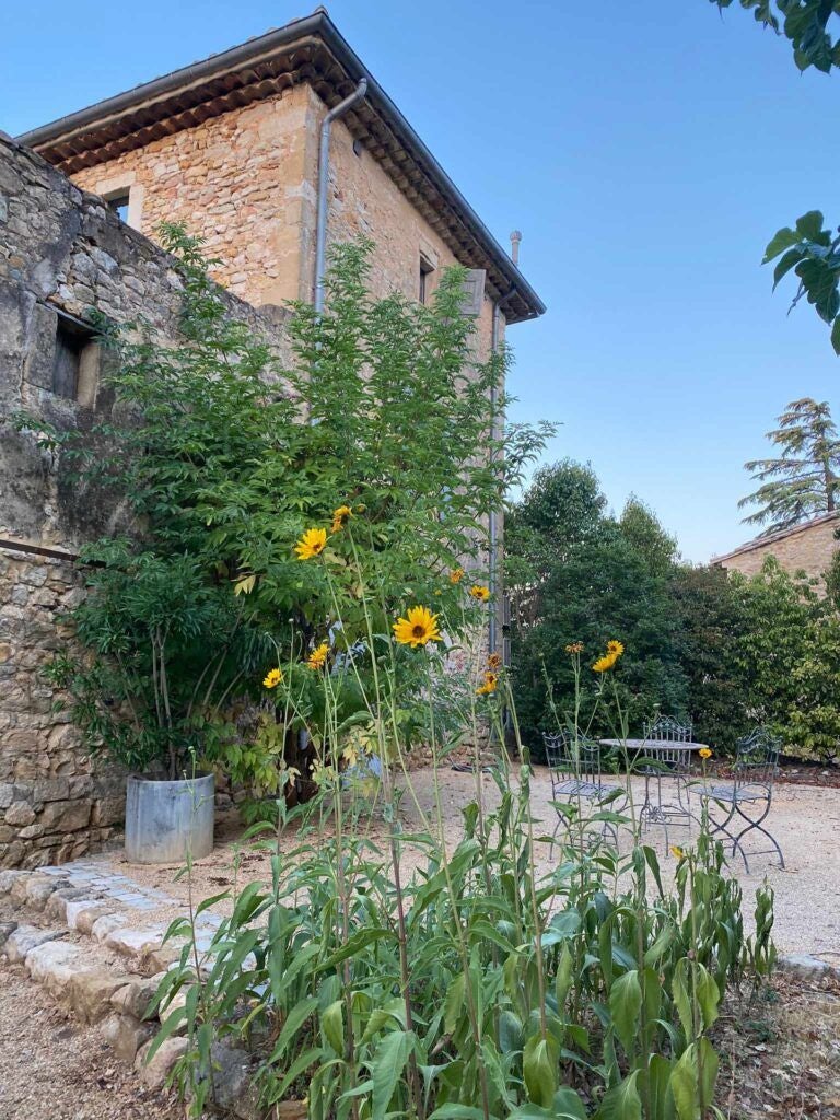 Elegant stone farmhouse hotel nestled in Provençal countryside, featuring rustic stone walls, lavender fields, and warm golden sunlight