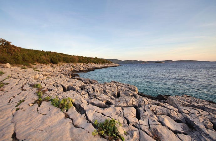 Start the day with a refreshing morning swim