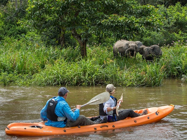 Look out for the locals during your river kayaking expedition