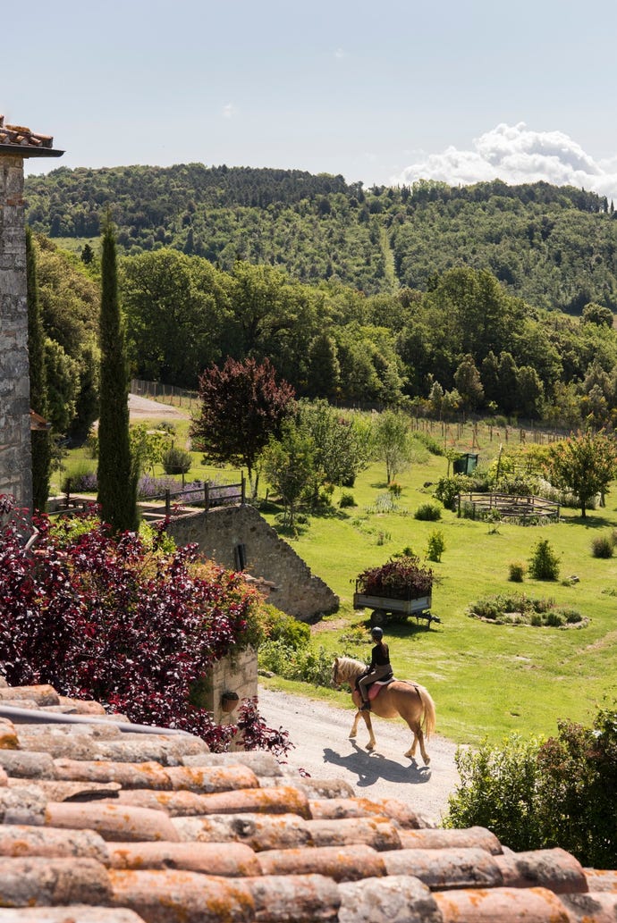 Horseback-riding through the Italian countryside