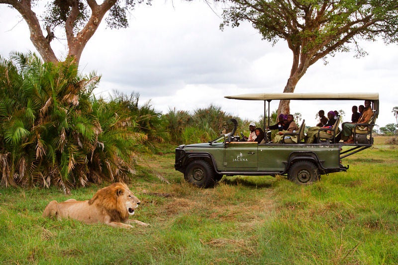 Elevated luxury safari tent overlooking pristine wetlands, with wooden deck and rattan furniture, surrounded by lush Okavango palms