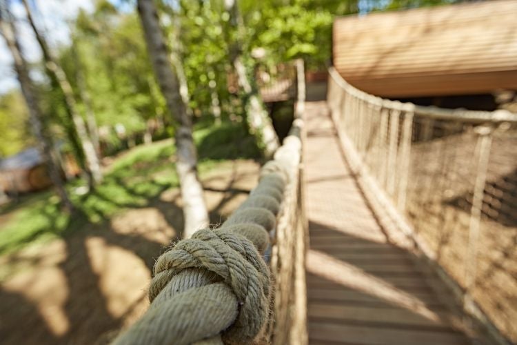 Luxurious treehouse suite with floor-to-ceiling windows overlooking lush forest, featuring modern minimalist design and warm wooden interior at The Fish Hotel