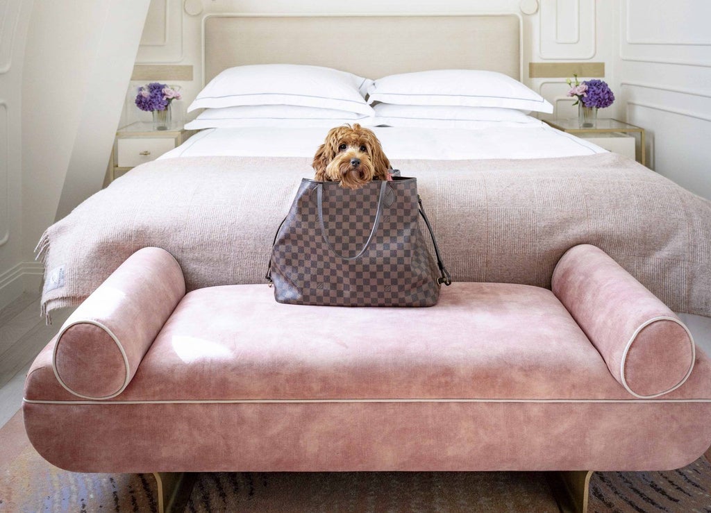 Elegant contemporary hotel room at One Aldwych in London, featuring plush white bedding, sleek modern decor, and soft natural lighting from large windows