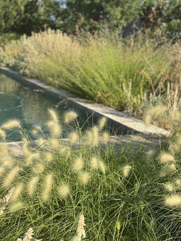 Elegant stone manor nestled in Provence lavender fields, with soft natural light highlighting rustic limestone walls and refined Mediterranean architecture