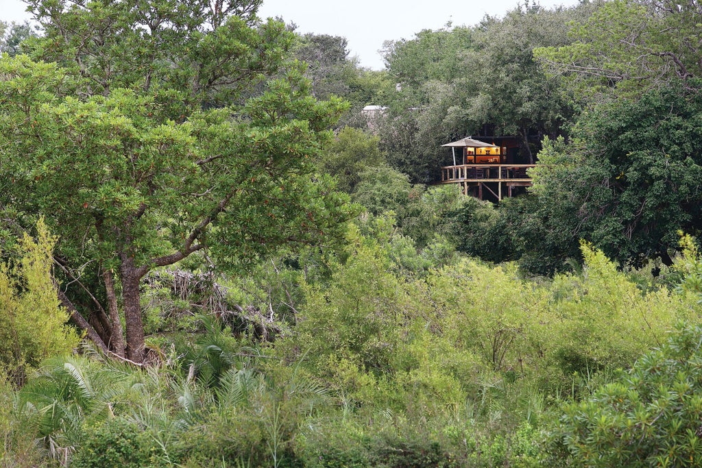 Elevated luxury treehouse suite at Londolozi with private deck overlooking African bushveld, featuring thatched roof and timber details