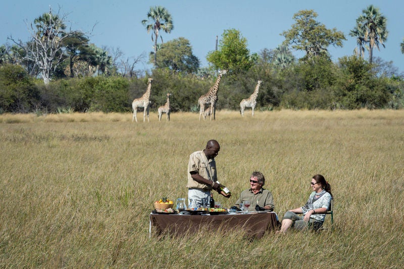 Elevated safari tent lodge with private deck overlooking lush Botswana wetlands, featuring elegant wooden furnishings and canvas walls