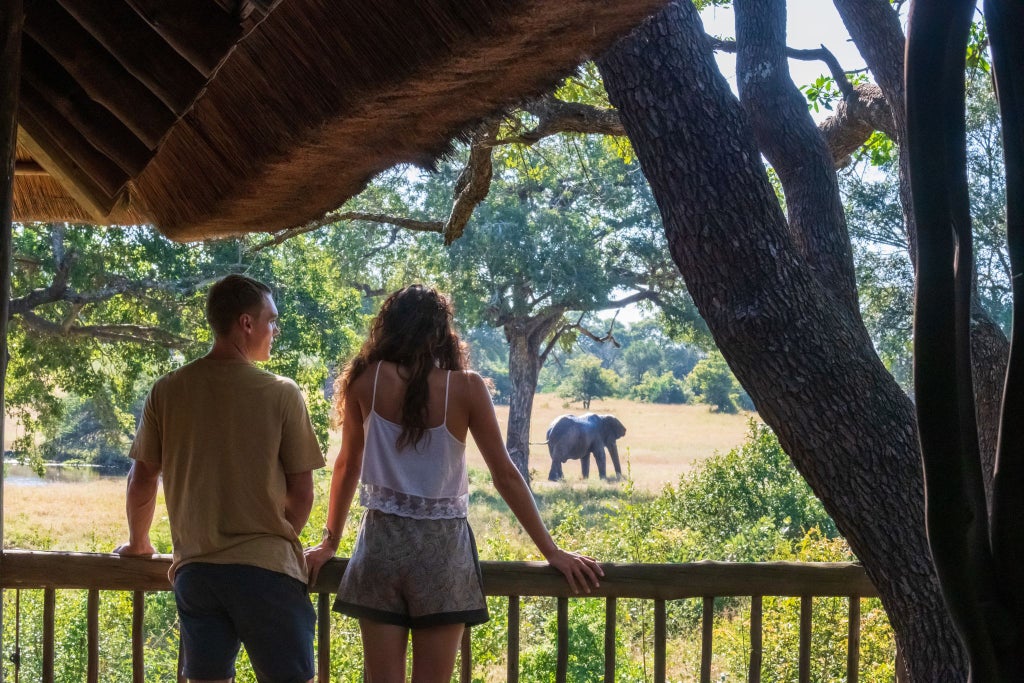 Luxury safari lodge nestled in South African wilderness, featuring elegant thatched-roof suites amid lush landscape with wooden deck overlooking pristine bushveld