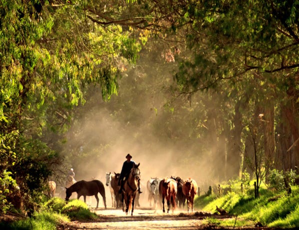 Farmland trails around the property
