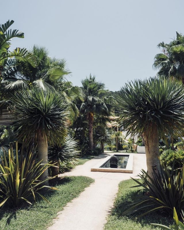 Sleek white minimalist hotel exterior with infinity pool overlooking lush scenset landscape, embodying modern Mediterranean luxury design aesthetic