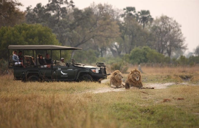 Enjoy undisturbed views of Botswana's astounding wildlife