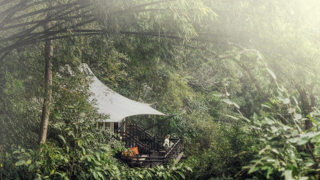 Luxurious tented suite overlooking lush Thai jungle, featuring teak wood deck, private pool and elegant outdoor furniture at sunset