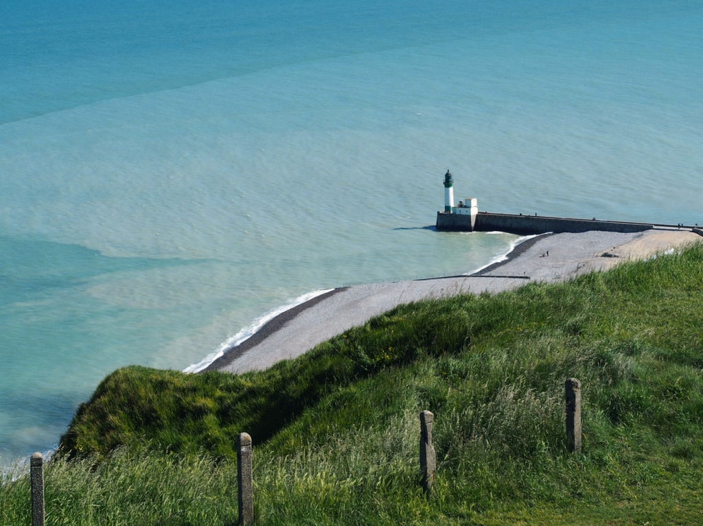 Somber World War II memorial landscape with historic Normandy coastline, weathered bunkers, and a guide explaining D-Day landing sites at sunrise