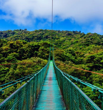 Hanging bridges
