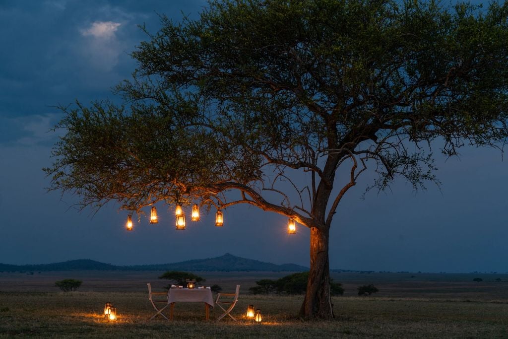 Luxurious safari tent at sunset with private deck, oriental rugs, and antique furnishings overlooking the Serengeti plains