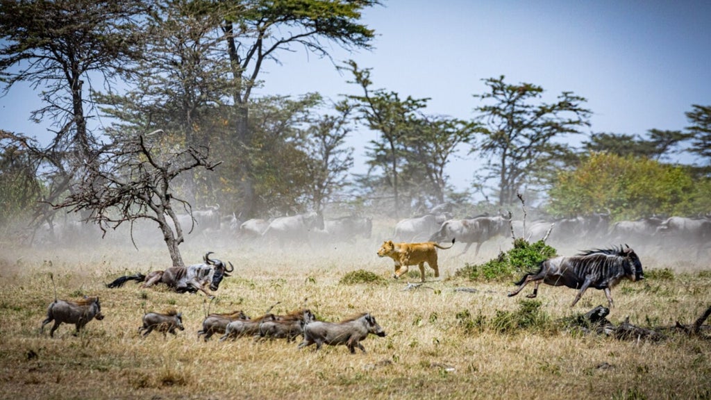 Expansive savanna landscape at sunset with acacia trees, luxury safari tent in foreground overlooking golden grasslands and wildlife