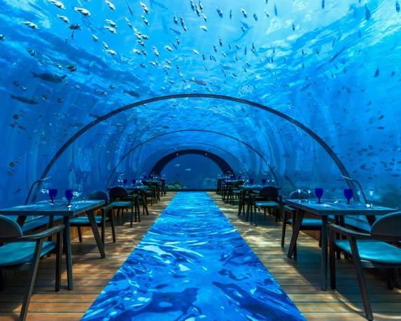 Underwater dining is a true experience