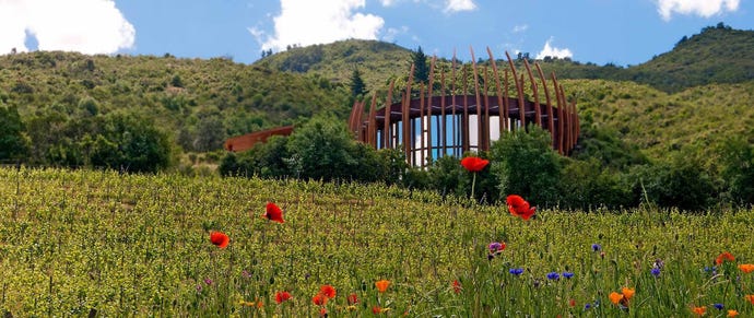 The Clos Apalta Winery
