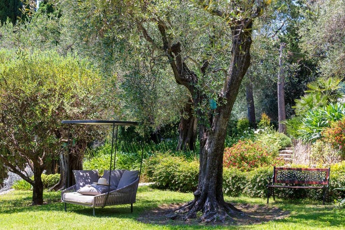 Relax in the shade of ancient olive trees