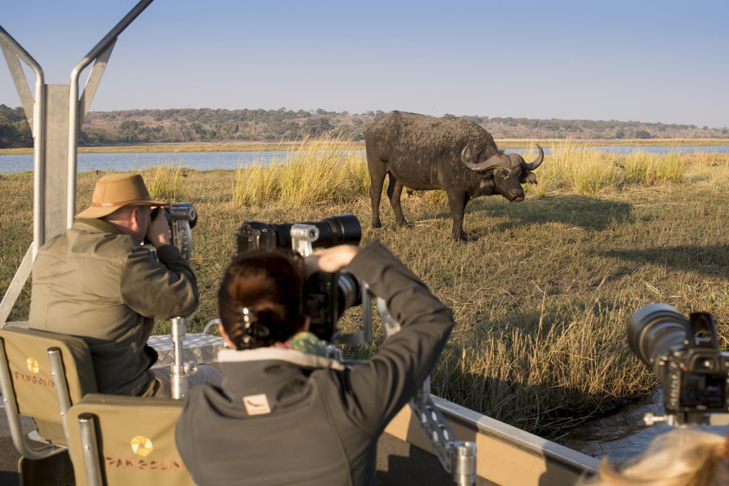 Luxurious safari tent with wooden deck overlooking Chobe River at sunset, surrounded by African wilderness and acacia trees