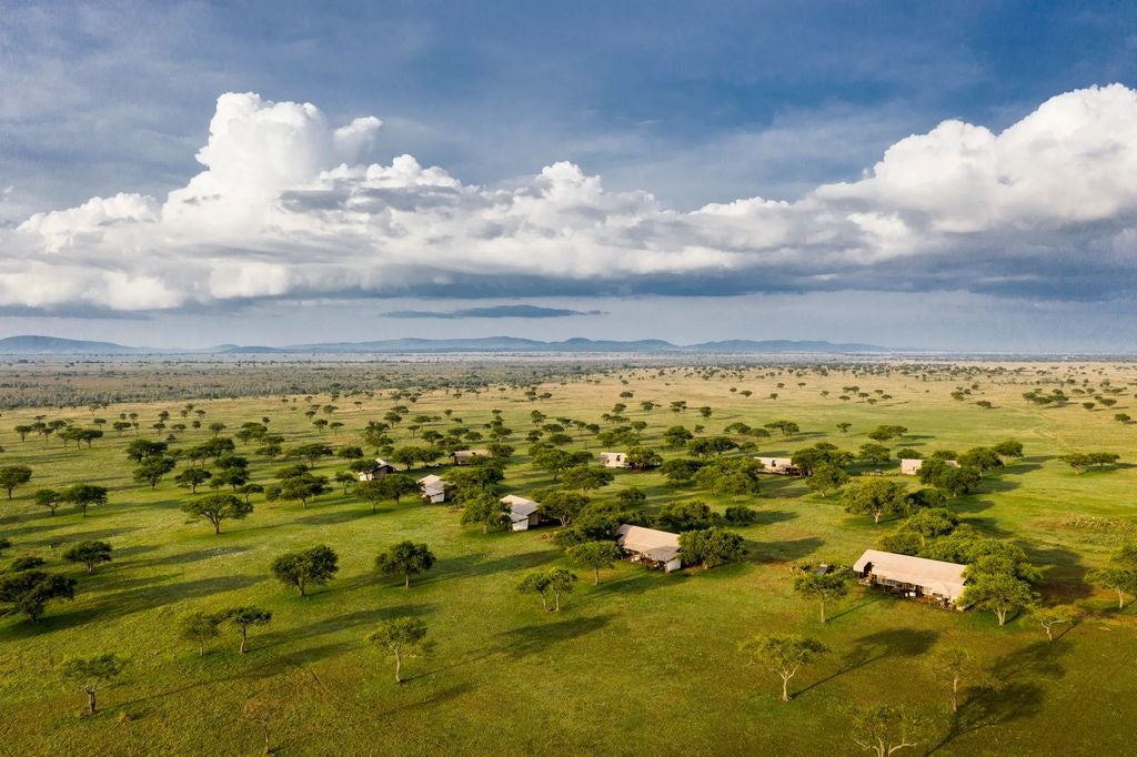 High-end safari lodge with infinity pool overlooking vast African savanna, stone and thatch architecture amid acacia trees at sunset