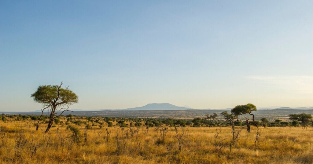 Luxurious canvas tents nestled among acacia trees, golden savanna grasslands, and distant mountain silhouettes at a high-end safari camp in Tanzania