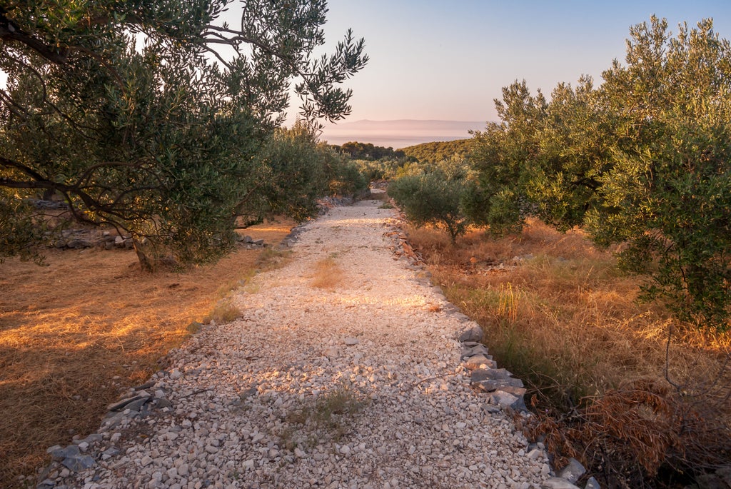 Secluded coastal trail along Hvar's rugged coastline with crystal-clear turquoise waters and Mediterranean pine trees lining the path