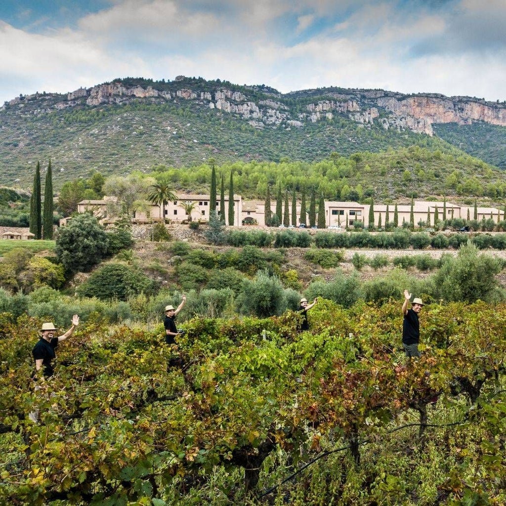 Elegant stone winery hotel nestled in scenic Spanish vineyard with rustic architecture, warm lighting, and lush green landscape at sunset.