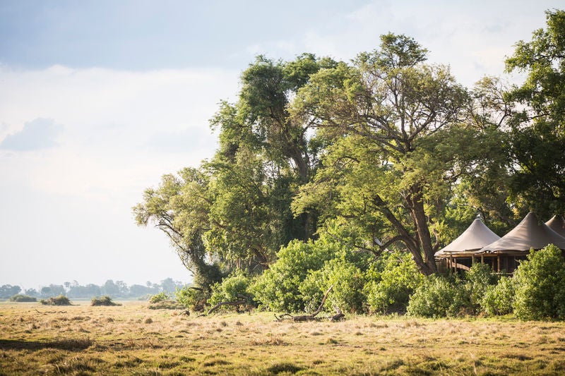 Elevated luxury safari tent with private deck overlooking lush Okavango Delta, nestled among acacia trees at sunset