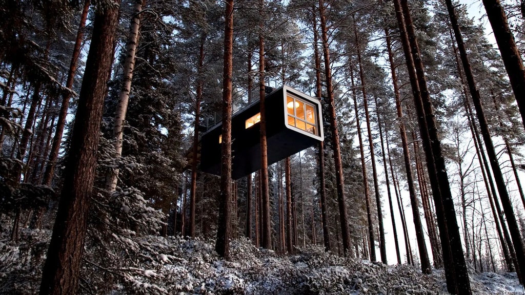 Mirrored glass treehouse suspended among pine trees in Swedish forest, reflecting surrounding wilderness with luxurious minimalist Nordic architectural design